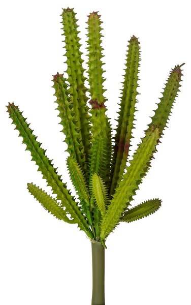 Set 6 Echeveria Cactus Artificiale Altezza 23 cm Verde
