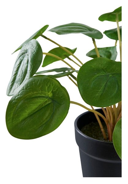 Pianta artificiale (altezza 28 cm) Pelia - House Nordic