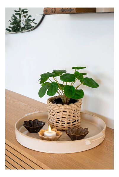 Pianta artificiale (altezza 28 cm) Pelia - House Nordic