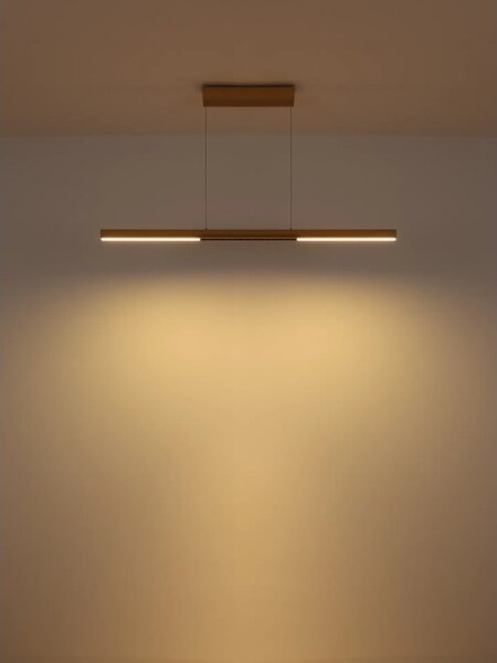 Globo 17018G - Lampadario LED a cavo CODY LED/24W/230V/3000K