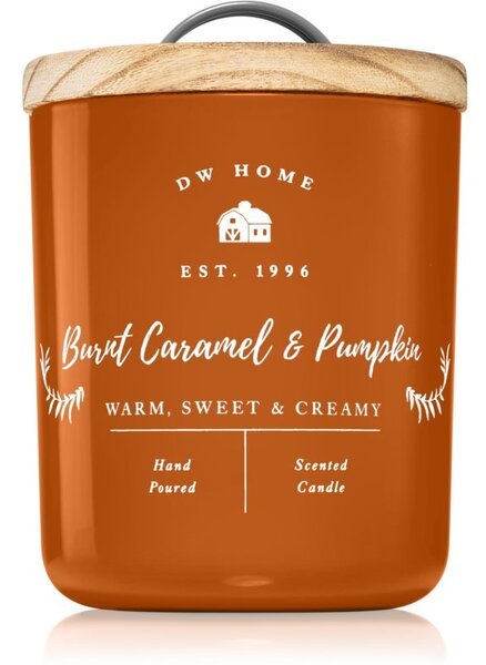 DW Home Farmhouse Burnt Caramel & Pumpkin candela profumata 264 g