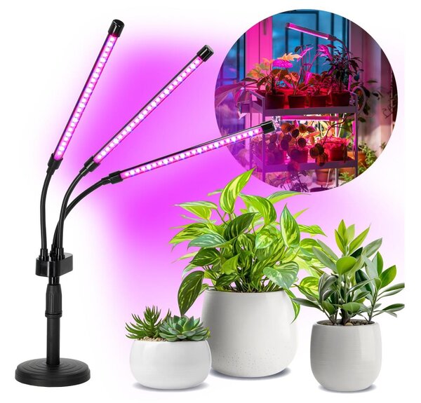 Lampada da tavolo LED dimmerabile VITARO 3xLED/10W/230V nera per piante