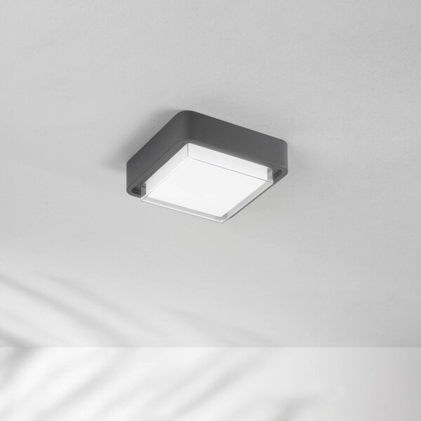 Fabas Luce Plafoniera LED da esterni Diuk, grigio scuro, metallo, IP65 Diuk, Nero, Alluminio, Moderno, Plafoniere LED