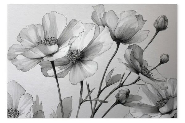 Schizzo floreale: petali grigi in fiore in un contesto minimalista