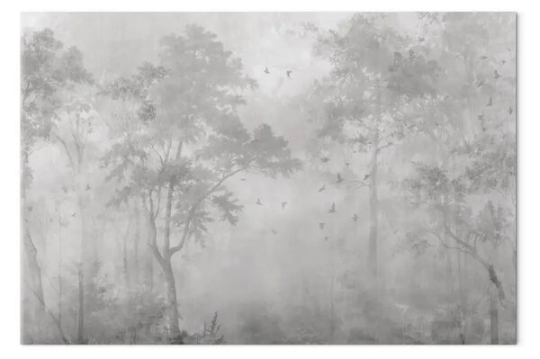 Foresta nebbiosa - Uccelli che planano sopra gli alberi fitti nella nebbia