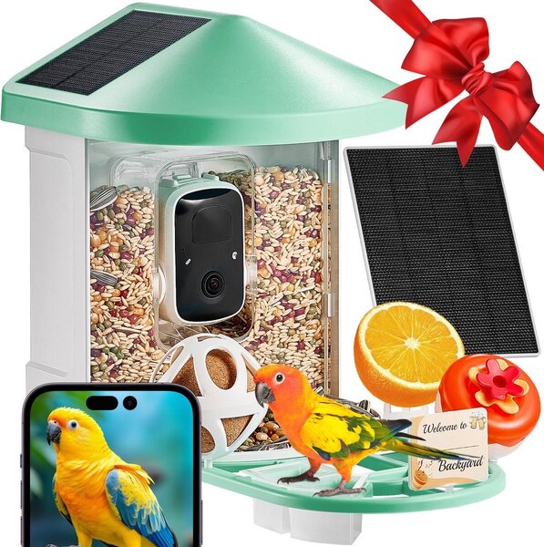 Mangiatoia intelligente per uccelli con telecamera AI Identifica oltre 10.000 specie di uccelli Alimentata a energia solare