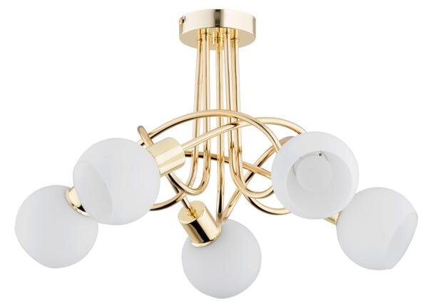 Lampada da soffitto ERYKA oro-bianca 5xE14x10W in metallo, dimensioni: 32x53x53 cm, IP20, Alfa