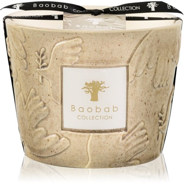 Baobab Collection Paz Paloma candela profumata 500 g