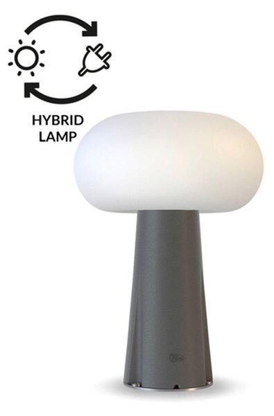 Newgarden Pepita lampioncino LED, ibrido solare