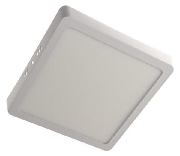 Plafoniera LED GERRY LED/12W/230V 3000K bianco