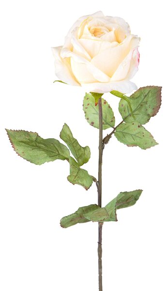 Set 4 Rose Artificiali con Dry Altezza 62 cm