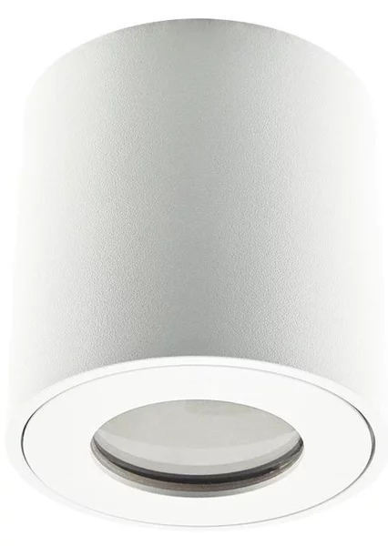 Emithor 48620 - Luce Spot da bagno ALMAN 1xGU10/35W/230V IP44 bianco