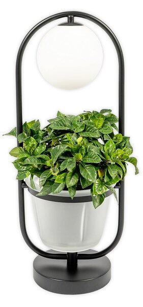 Lampade da tavolo Lindby, Orna, Nero, Soggiorno, Metallo, Moderno