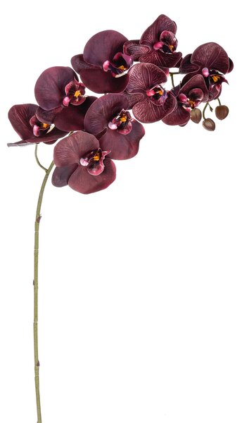 Set 3 Phalaenopsis Artificiali Real Touch Artificiale con 9 fiori Altezza 91 cm