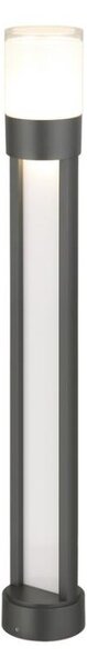 Rabalux 77132 - Lampada LED da esterno LEITHA LED/12W/230V IP44 80 cm