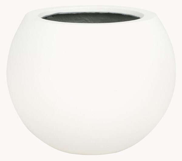 Portavaso Kenslia