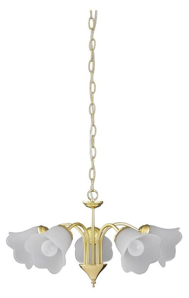 Rabalux 7235 - Lampadario a sospensione con catena RAFAELLA 5xE14/40W/230V