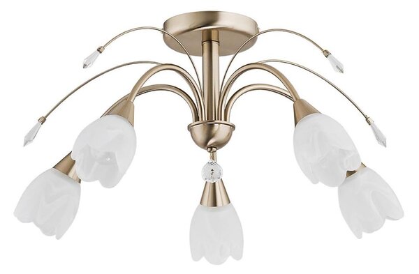 Plafoniera BASTER 5xE14/10W/230V dorata