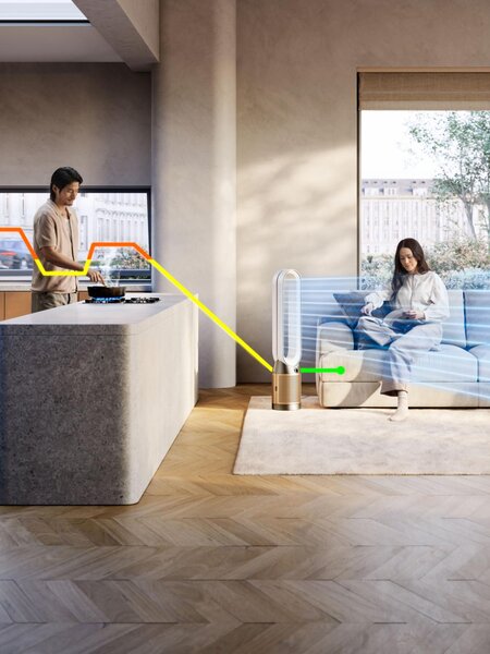 Dyson Purificatore d'Aria 60,2 m/h Filtro HEPA H13 per Stanze fino a 27 m con Display LCD colore Bianco e Oro - 546519-01 Purifier Cool PC2 De-Nox