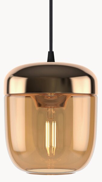 Lampada a sospensione Acorn