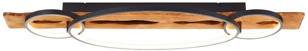 Brilliant - Plafoniera LED dimmerabile PIRUS LED/40W/230V 30x90 cm