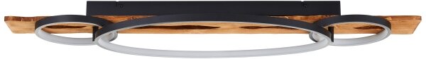 Brilliant - Plafoniera LED dimmerabile PIRUS LED/40W/230V 30x90 cm