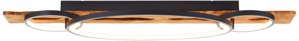 Brilliant - Plafoniera LED dimmerabile PIRUS LED/40W/230V 30x90 cm
