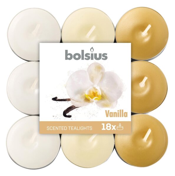 Tealight BOLSIUS essenza vaniglia Ø 19.5 cm H 3 cm, 18 pezzi