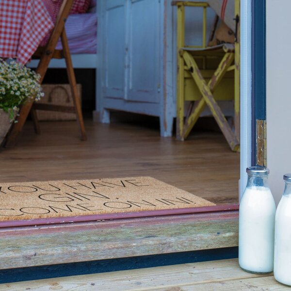 Zerbino in cocco 40x60 cm If You Have Gin - Artsy Doormats