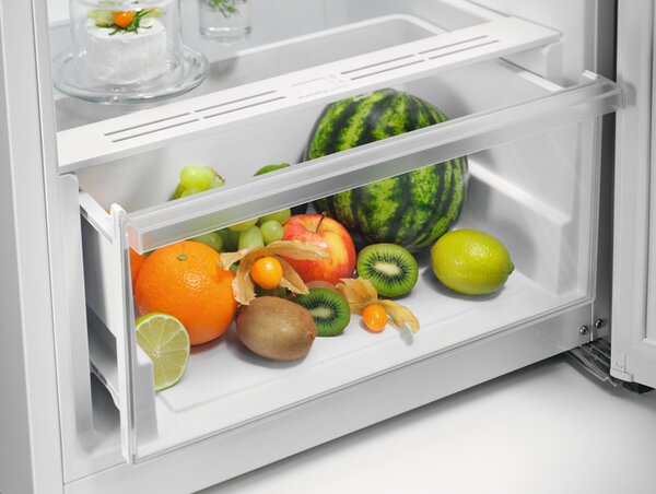 Electrolux Frigorifero Monoporta Capacit 309 litri Classe energetica E Raffreddamento No Frost colore Bianco - LRB1DE33W
