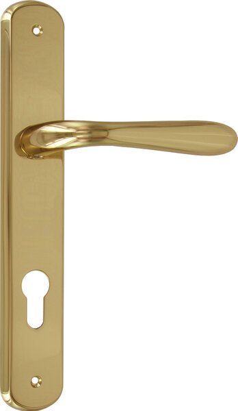 Frosio Bortolo Maniglia Porta con Placca dimensioni 40 x 245 mm finitura Oro Lucido - A115/L01 Serie Goccia