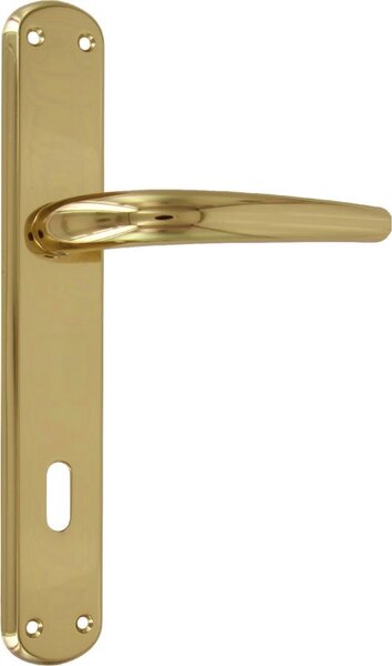 Forme Maniglia porta con Placca Q8/90 Materiale Lega colore Oro Lucido - Torino 8/90 L01