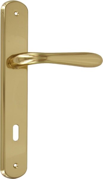 Forme Maniglia porta con Placca Q8/90 Materiale Lega colore Oro Lucido - Goccia 8/90 L01