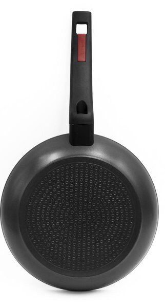 Zanetti Padella Antiaderente Induzione in Alluminio 24 cm Manico Bachelite colore Grigio Evolution