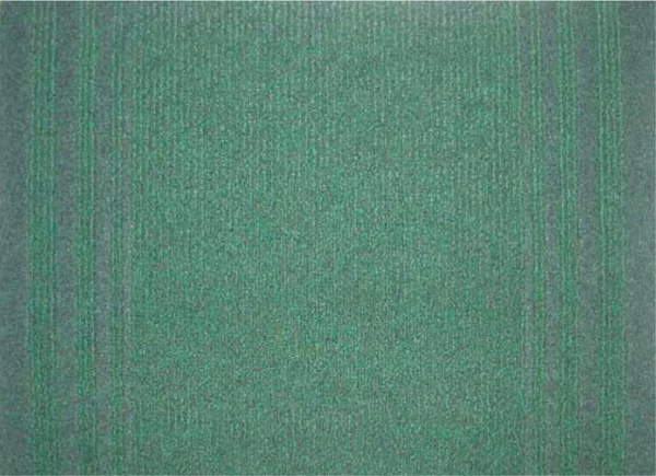 ALMA Passatoia Passat H.67 Colori Verde Metri lineari 30 - BLGHU1799