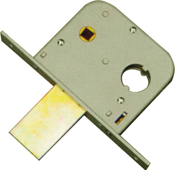 Welka Serratura per Cancelletti da Infilare 22 mm 1 Mandata e 1/2 con Scrocco Entrata 45 mm Scatola 82x100 mm + Quadro Maniglia - 075.45.00.0