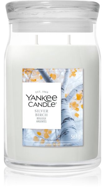 Yankee Candle Silver Birch candela profumata 567 g