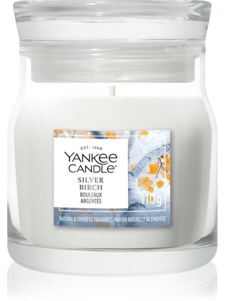 Yankee Candle Silver Birch candela profumata Signature 110 g