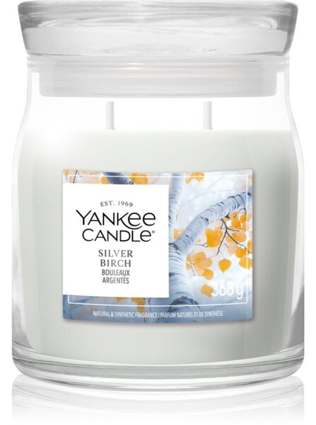 Yankee Candle Silver Birch candela profumata 368 g