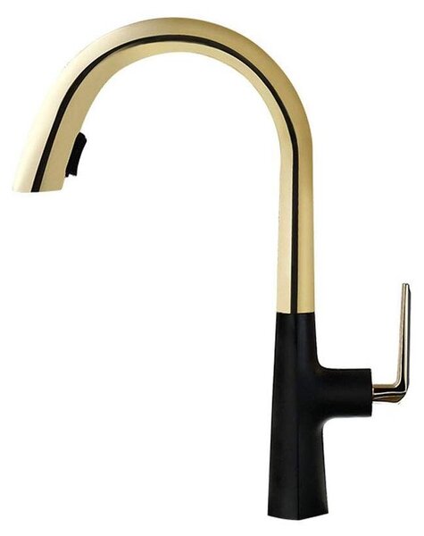 Solidchoice - Rubinetto da cucina con funzione di estrazione e finitura dorata