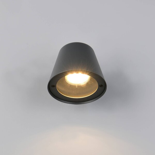 Trio Lighting Applique da esterni Beni, dimmerabile, Nero, Metallo, Moderno, Applique da esterni