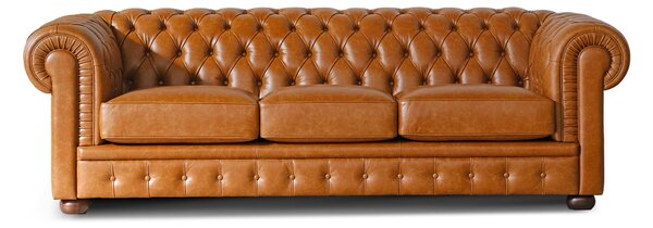 Divano Letto Chesterfield in Pelle Primo Fiore Premium con Rete e Materasso Pieghevole