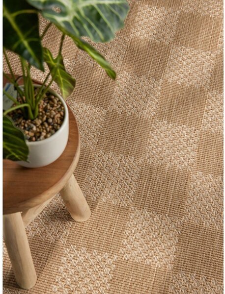 Passatoia da interno ed esterno color crema/di colore naturale 80x200 cm Haringey Dorothy – Ted Baker
