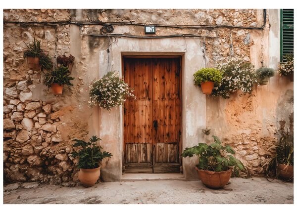 Carta da parati – Facciata rustica mediterranea con fiori