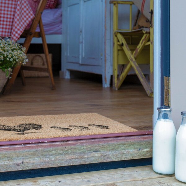 Zerbino in fibre di cocco 40x60 cm Chickens and Chicks – Artsy Doormats