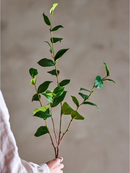 Pianta di eucalipto finta (altezza totale 110 cm) Eucalyptus – Bloomingville