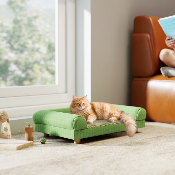 PawHut Divano per cane e gatto rialzato, seduta effetto tappeto rinfrescante, con braccioli, in velluto morbido, 63 x 41 x 17 cm, Verde | Aosom Italy