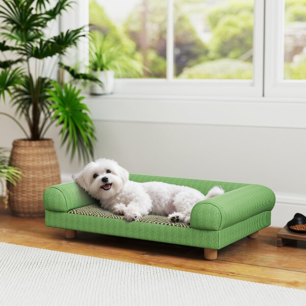 PawHut Divano per cane e gatto rialzato, seduta effetto tappeto rinfrescante, con braccioli, in velluto morbido, 63 x 41 x 17 cm, Verde | Aosom Italy