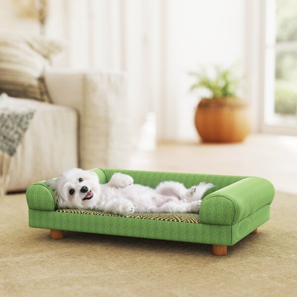 PawHut Divano per cane e gatto rialzato, seduta effetto tappeto rinfrescante, con braccioli, in velluto morbido, 63 x 41 x 17 cm, Verde | Aosom Italy