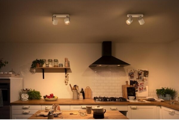 Philips 50672/31/P0 - Luce Spot a LED dimmerabile BYRL 2xLED/4.5W/230V